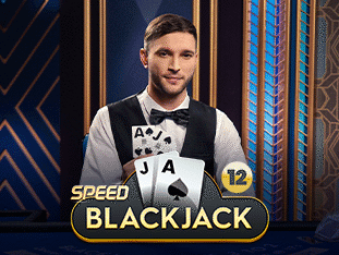 Speed Blackjack 12 screenshot